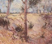 Vincent Van Gogh Trees in a Field on a Sunny Day (nn04) Germany oil painting artist